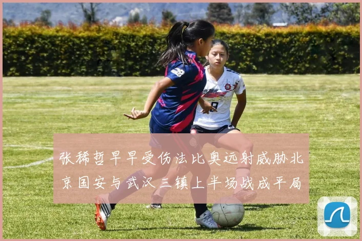 张稀哲早早受伤法比奥远射威胁北京国安与武汉三镇上半场战成平局