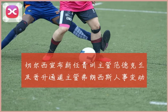 切尔西宣布新任青训主管范德克兰及晋升通道主管弗朗西斯人事变动
